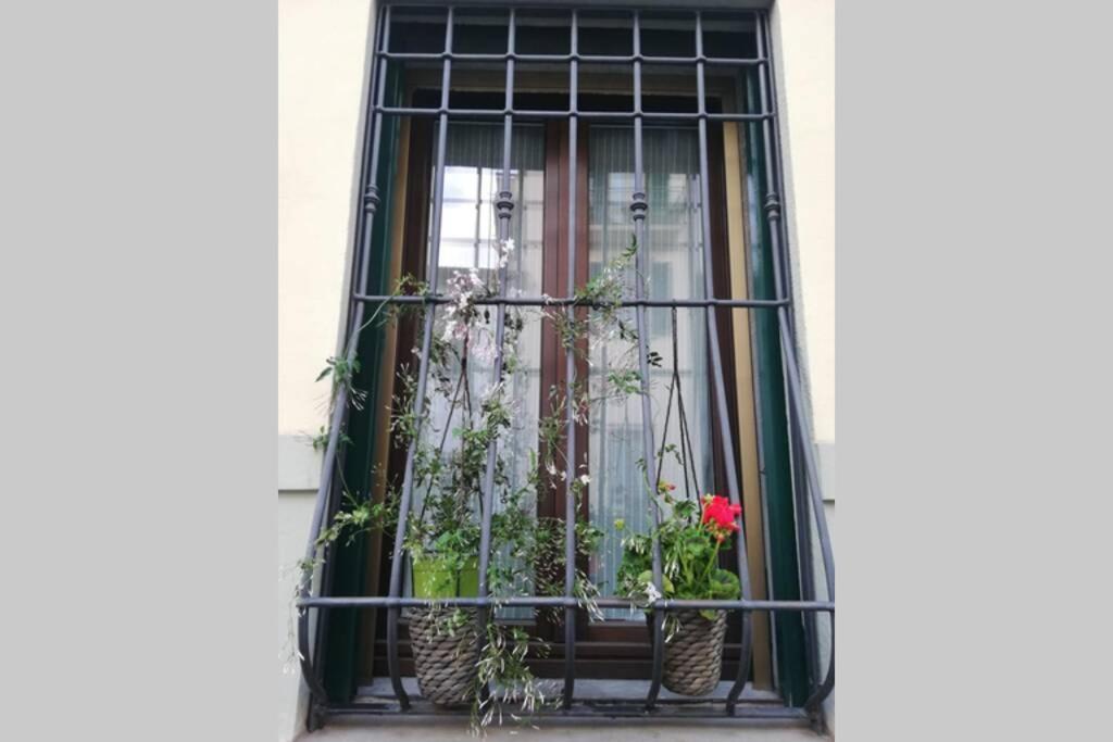 Flower Garden Apartment Vicino Al Centro Firenze Eksteriør billede